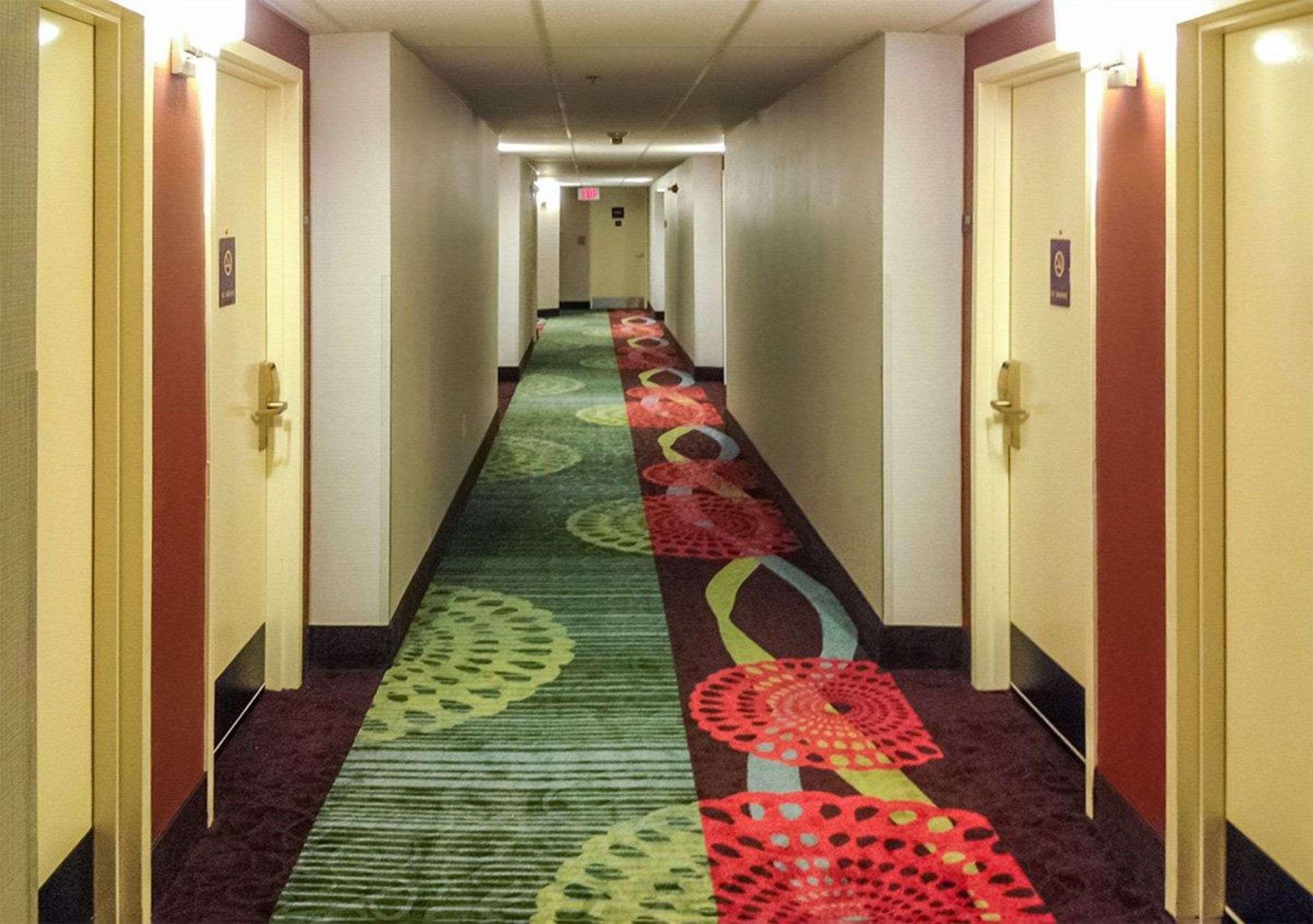 Mars Hill Comfort Inn North Of Asheville מראה חיצוני תמונה