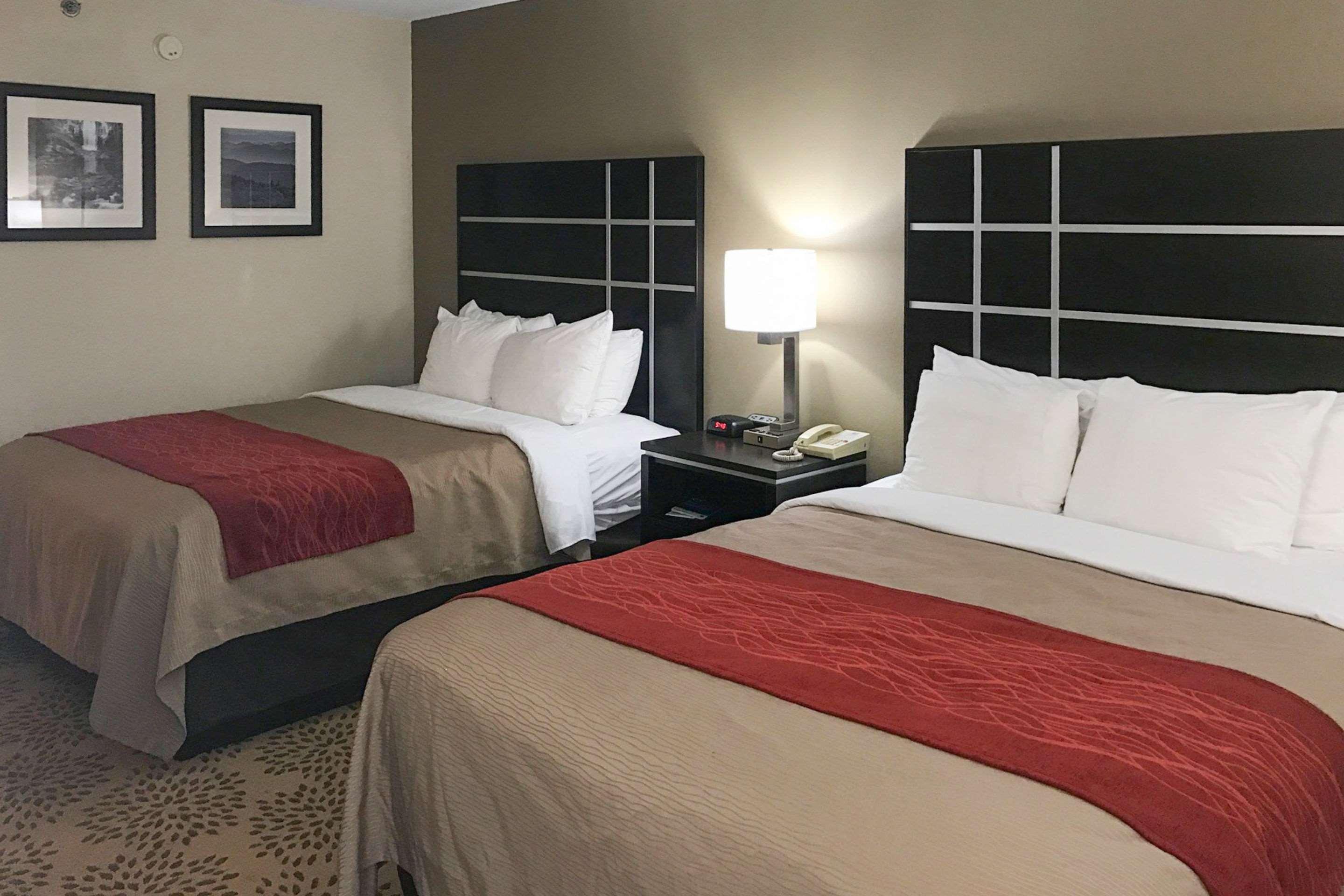Mars Hill Comfort Inn North Of Asheville מראה חיצוני תמונה